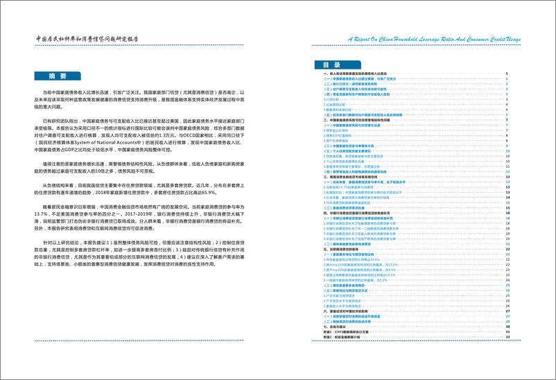 《西南财大-中国居民杆杆率和消费信贷问题研究报告-2019.11-20页》 - 第4页预览图