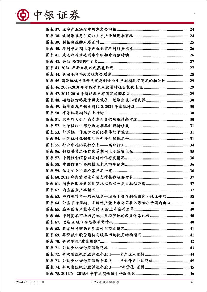 《2025年度策略报告：重回科技主导产业-241216-中银证券-53页》 - 第4页预览图