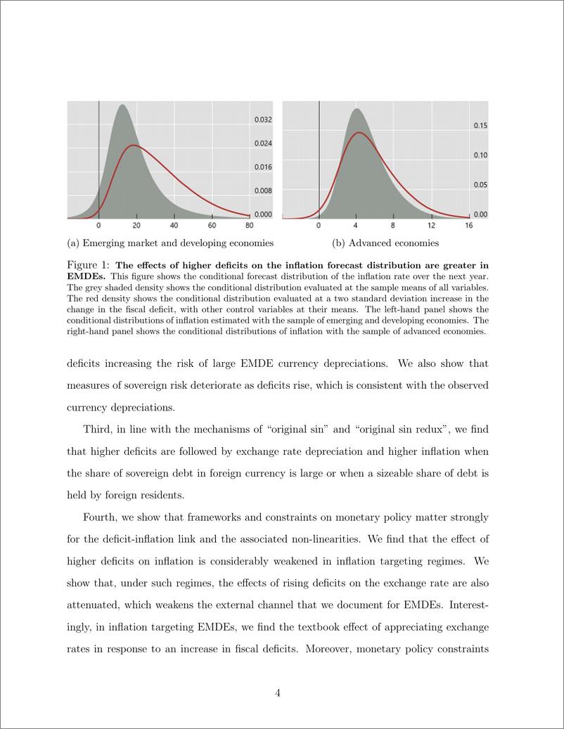 《国际清算银行-EMDE中通货膨胀风险的财政来源：外部渠道的作用（英）-2023.7-55页》 - 第7页预览图