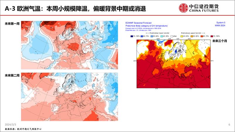 《TTF超跌反弹或告一段落，HH利多因素累积-20240303-中信建投期货-33页》 - 第6页预览图