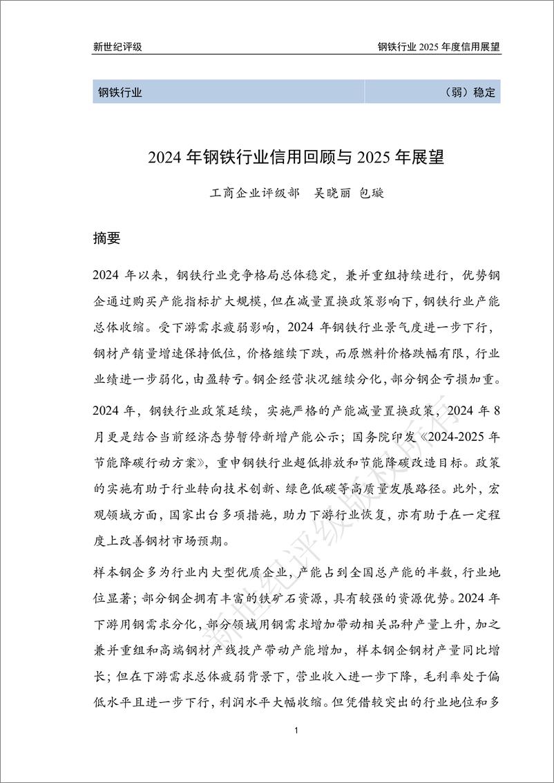 《新世纪资信评估-2024年钢铁行业信用回顾与2025年展望》 - 第1页预览图