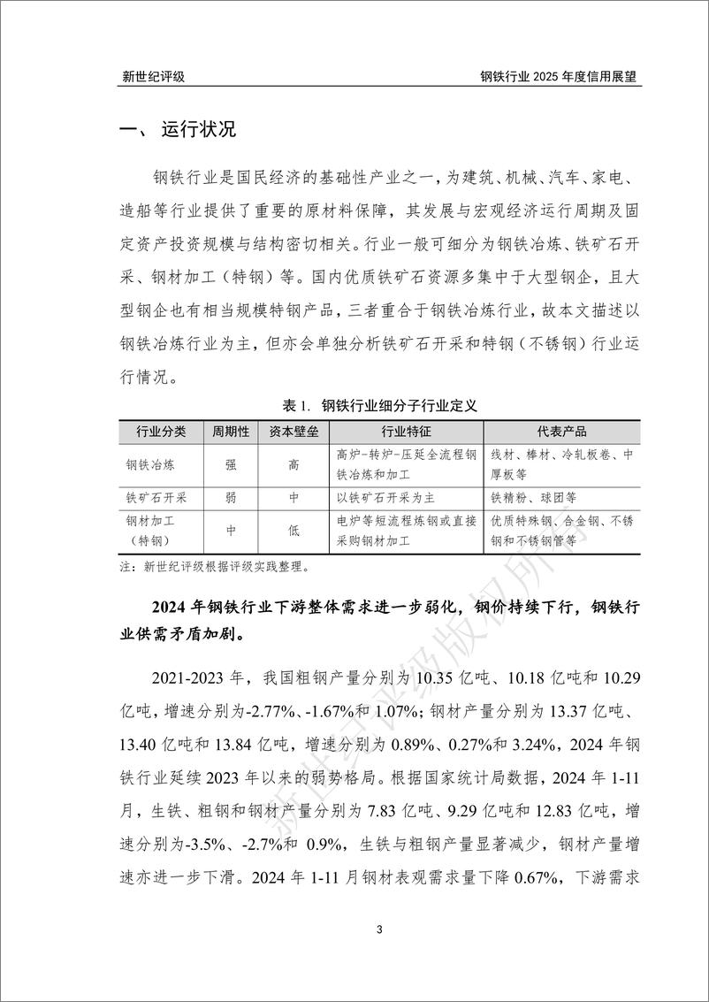 《新世纪资信评估-2024年钢铁行业信用回顾与2025年展望》 - 第3页预览图