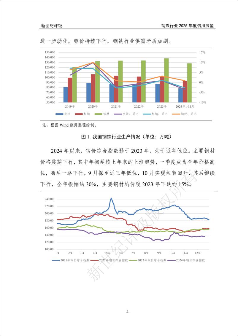 《新世纪资信评估-2024年钢铁行业信用回顾与2025年展望》 - 第4页预览图