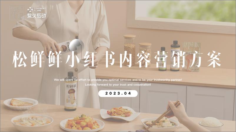 《调味品品牌小红书内容种草营销方案》 - 第1页预览图