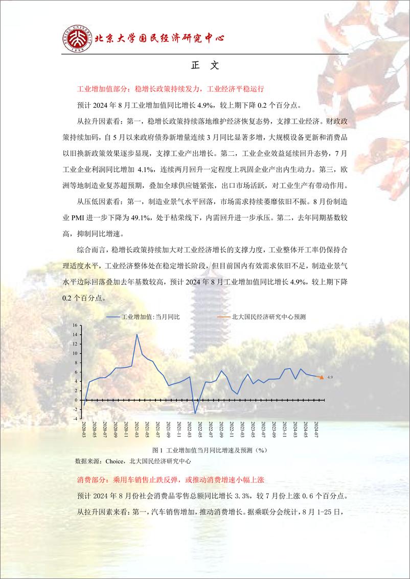 《经济走势平稳，政策有待进一步释放-240901-北京大学国民经济研究中心-14页》 - 第4页预览图