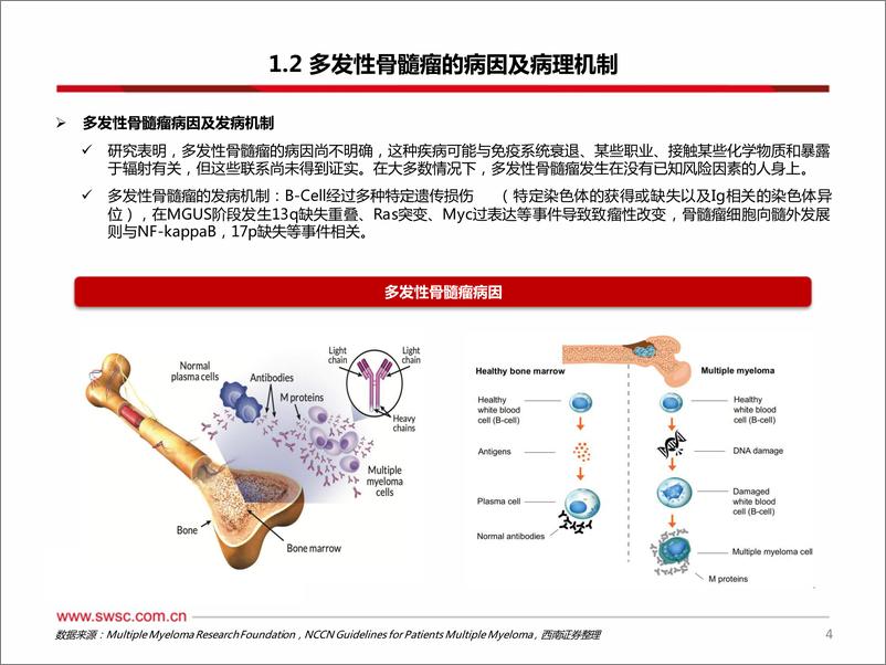 《医药生物行业创新药专题：多发性骨髓瘤，BCMA靶向疗法推向前线-240604-西南证券-48页》 - 第5页预览图