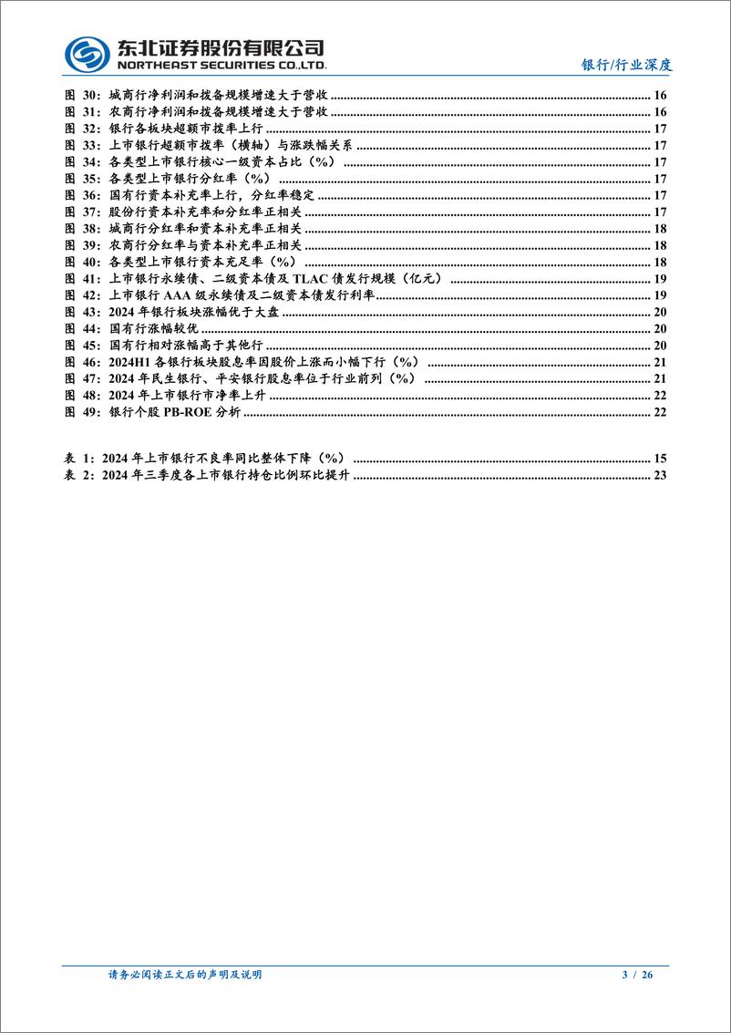 《银行业2025年年度投资策略报告：资本夯实，万物生长-东北证券-241231-26页》 - 第3页预览图