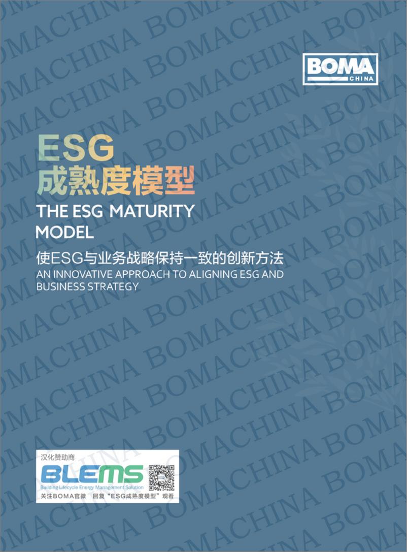 《ESG成熟度模型》 - 第1页预览图