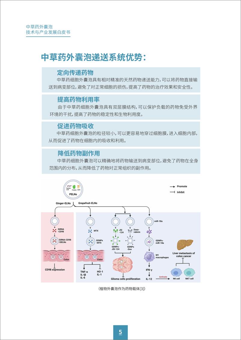 《广药集团&动脉网_2024年中草药外囊泡技术与产业发展白皮书》 - 第7页预览图