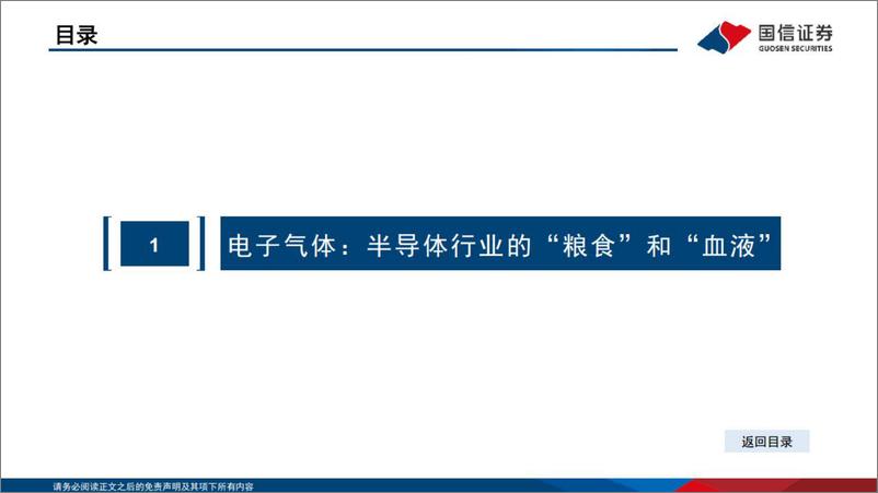 《电子特气行业分析框架-20230324-国信证券-69页》 - 第5页预览图