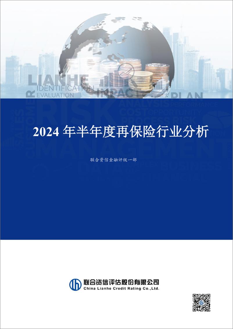 《2024年半年度再保险行业分析》 - 第1页预览图