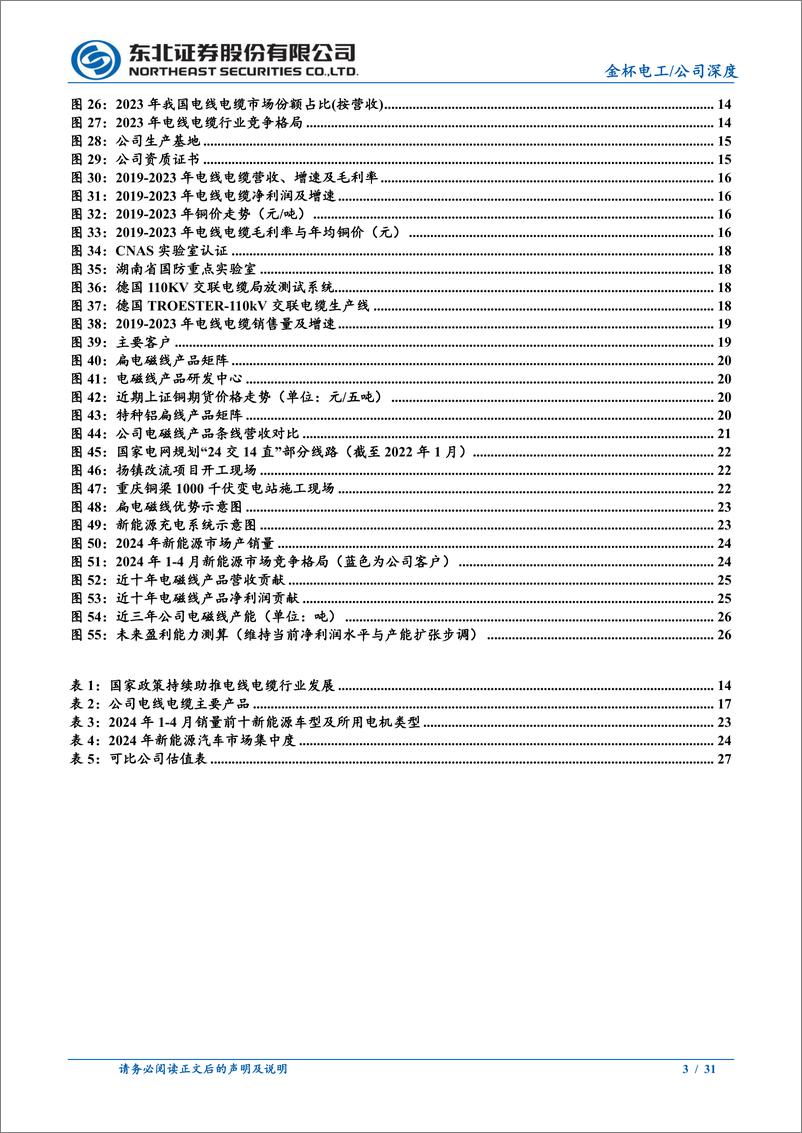 《金杯电工(002533)扁电磁线优质企业，有望充分受益电网高景气-240709-东北证券-31页》 - 第3页预览图