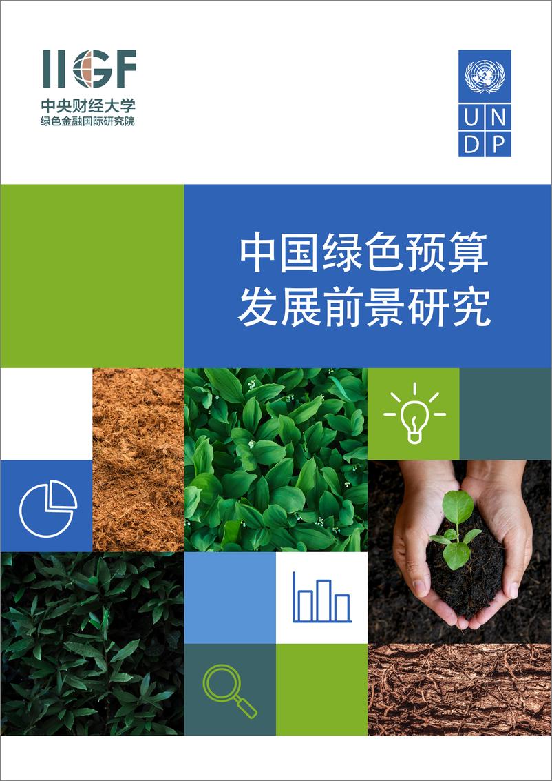 《中国绿色预算发展前景研究-中央财经大学&UNDP-2024.5-42页》 - 第1页预览图