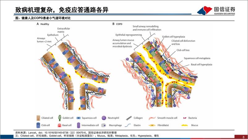 《医药生物行业创新药盘点系列报告(20)：COPD治疗领域迎来新机制、新疗法-241125-国信证券-36页》 - 第8页预览图