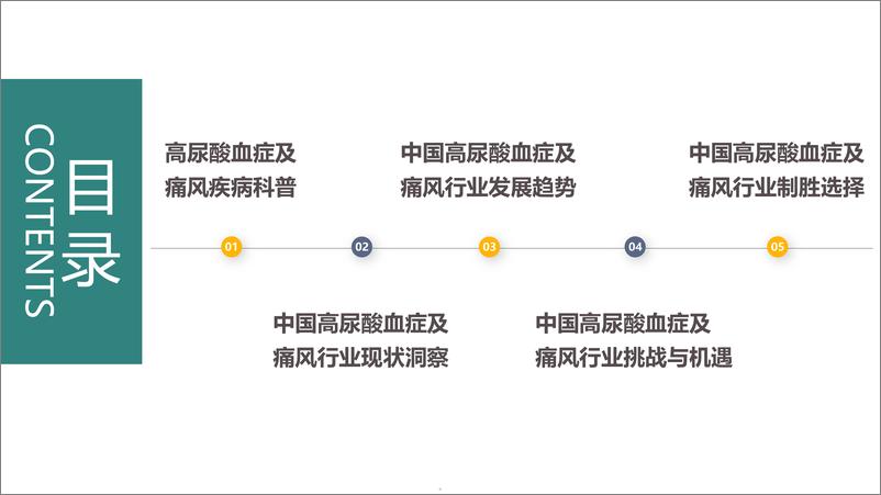 《中国高尿酸及痛风行业大数据及产业竞争分析》 - 第5页预览图