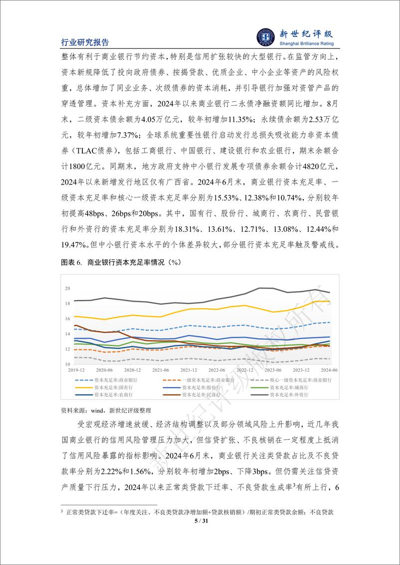 《2024年上半年银行业信用观察》 - 第5页预览图