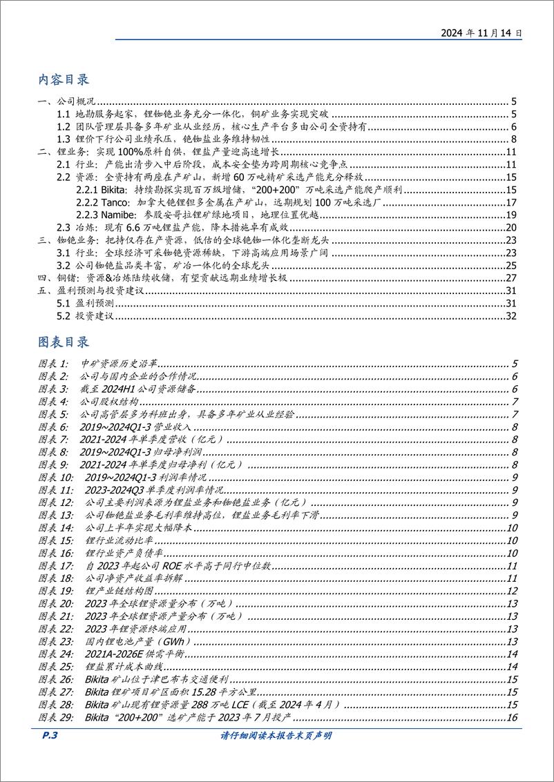 《中矿资源(002738)地勘服务起家，冉冉升起的多金属矿产新星-241114-国盛证券-14页》 - 第3页预览图