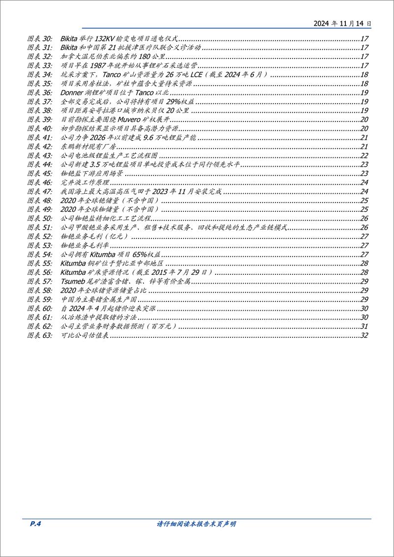 《中矿资源(002738)地勘服务起家，冉冉升起的多金属矿产新星-241114-国盛证券-14页》 - 第4页预览图