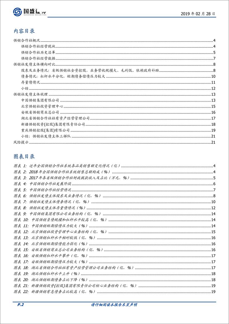 《固定收益专题：供销社发债主体，了解一下？-20190228-国盛证券-22页》 - 第3页预览图