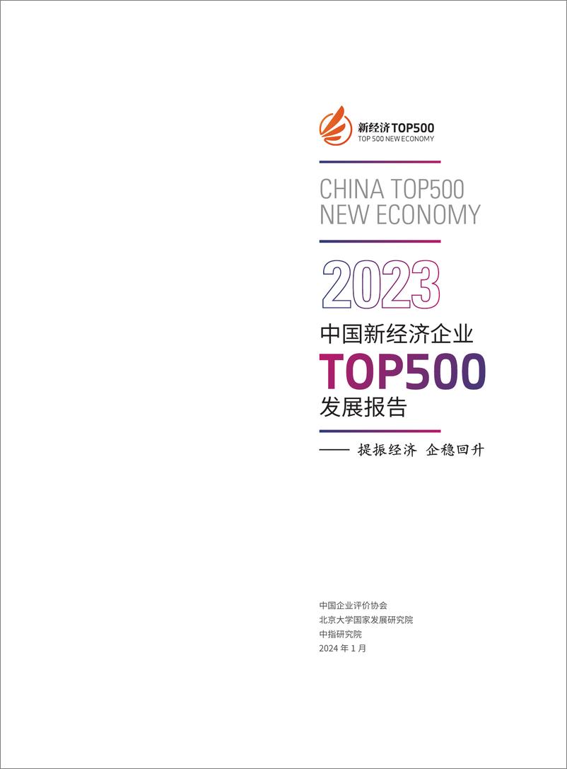 《2023中国新经济企业TOP500发展报告-北京大学国家发展研究院》 - 第2页预览图