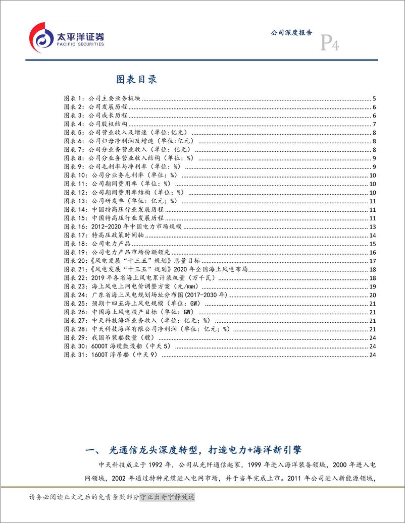 《太平洋-中天科技-600522.SH-碳中和推动能源基建长期繁荣，电力+海缆业务乘势而起》 - 第4页预览图