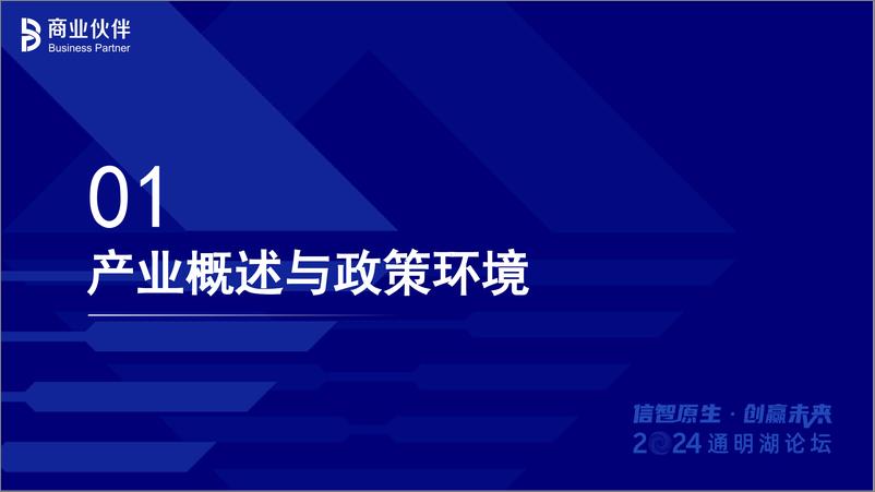 《2024年信息技术应用创新产业生态发展洞察报告-BP商业伙伴-33页》 - 第3页预览图