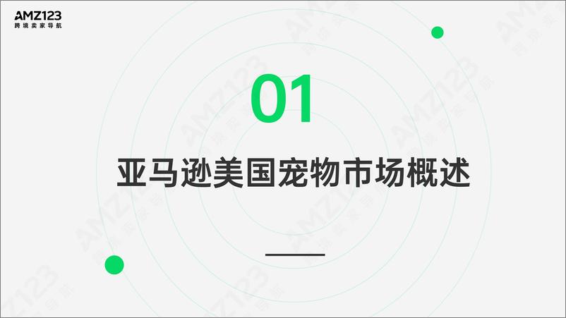 《亚马逊美国宠物市场观察报告-AMZ123-66页》 - 第5页预览图