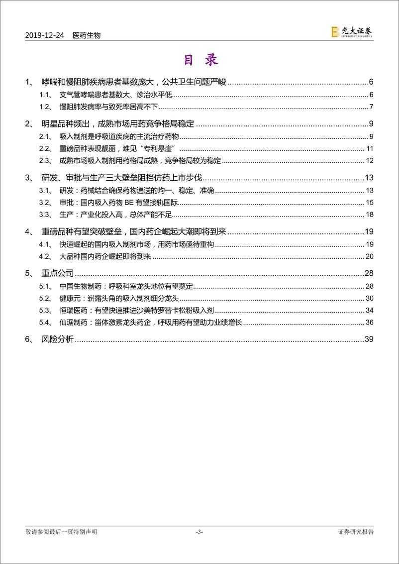 《医药生物行业创新药深度研究系列三：吸入制剂，攀登化学仿制药的巅峰-20191224-光大证券-41页》 - 第4页预览图