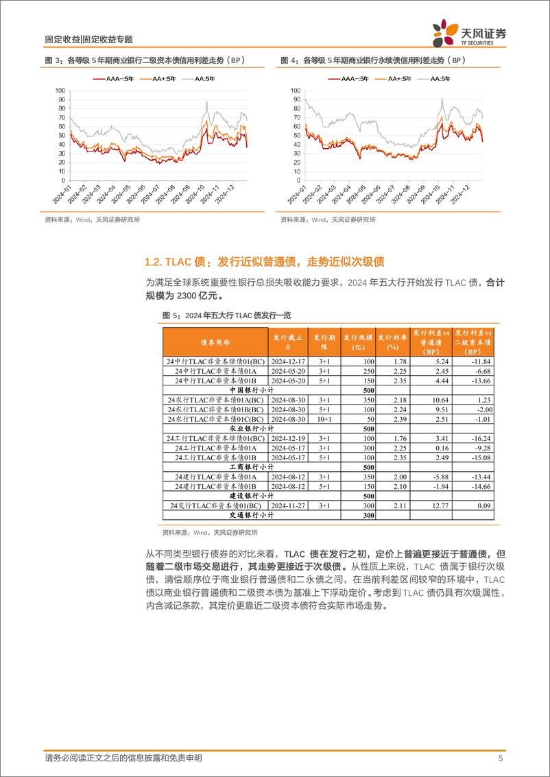 《固定收益专题：信用｜2025，二永供给的细节与策略-250113-天风证券-16页》 - 第5页预览图