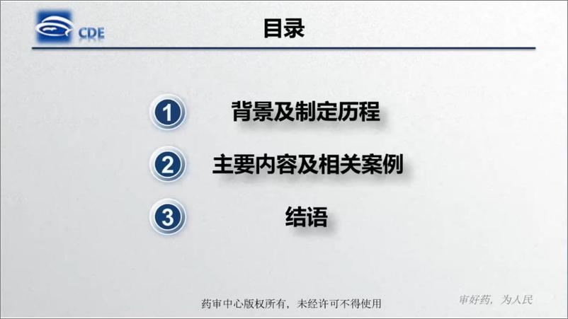 《药审中心：2024药物免疫毒性非临床研究技术指导原则解读报告》 - 第2页预览图