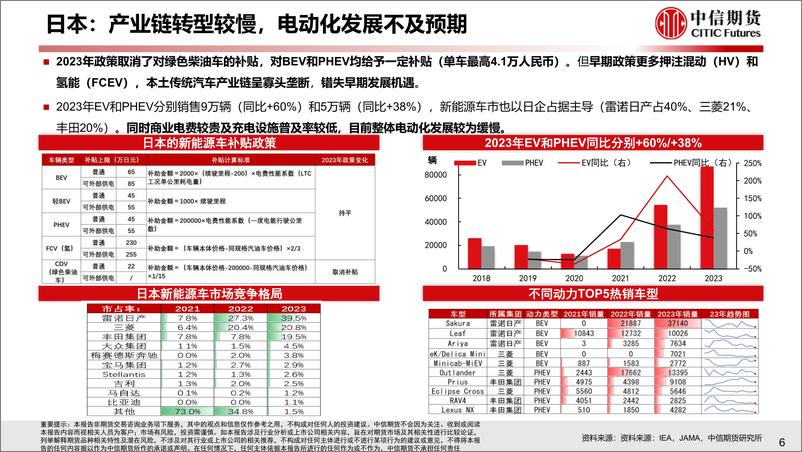 《2023年新兴国家新能源车需求分析与2024年展望》 - 第7页预览图