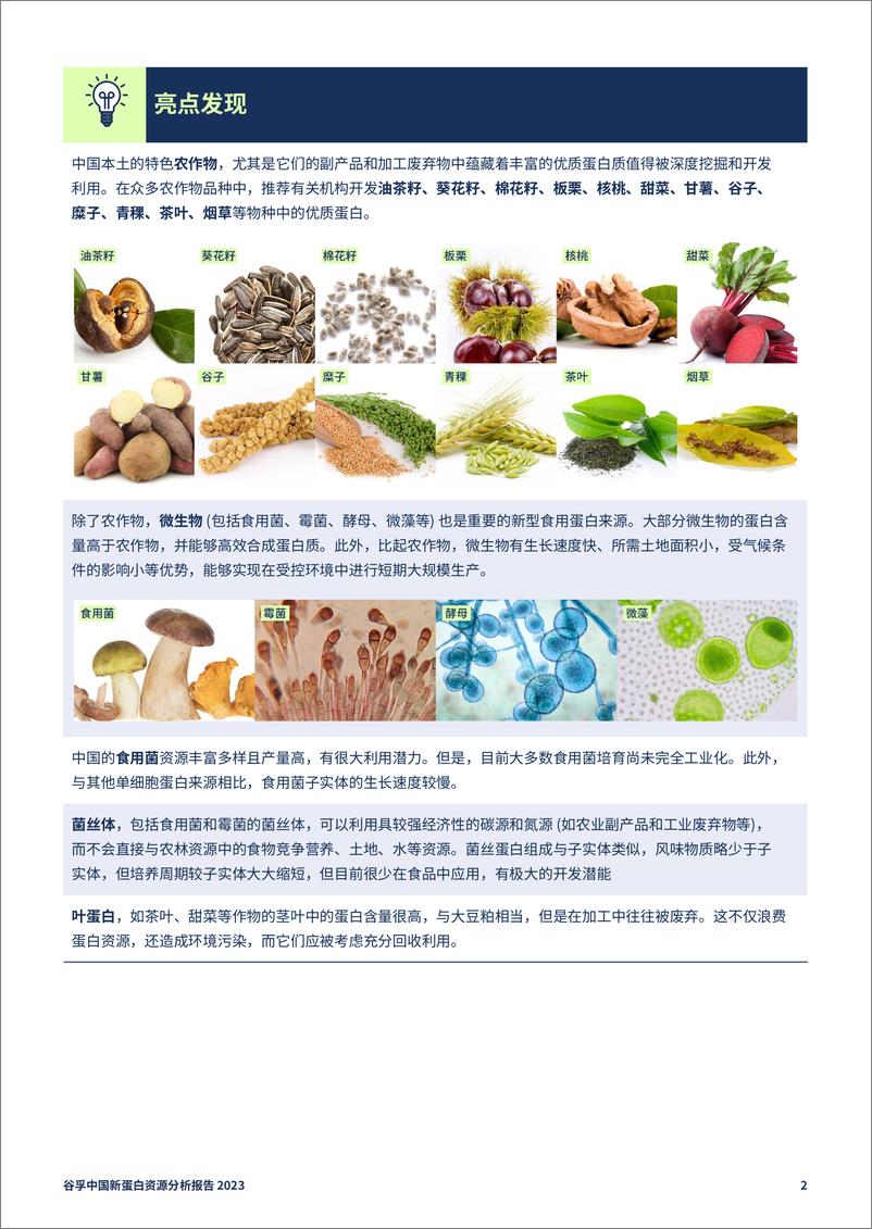 《谷孚2023中国新蛋白资源分析报告》 - 第8页预览图