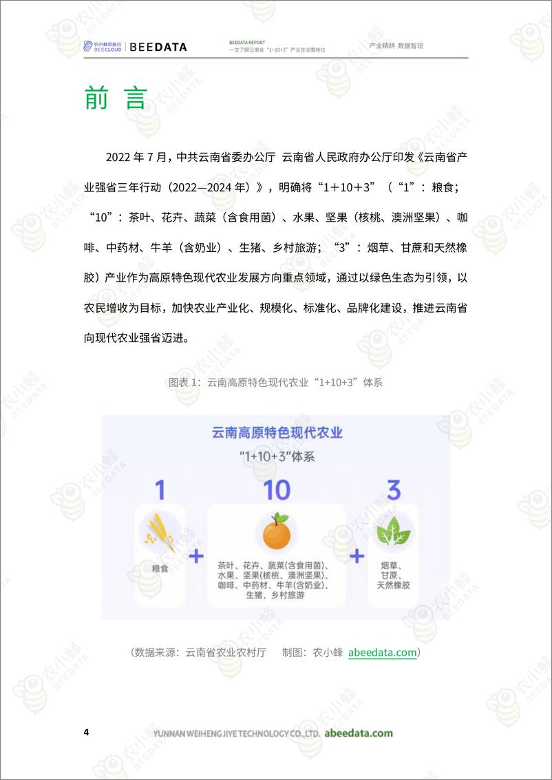 《一文了解云南省“1＋10＋3”产业在全国地位-农小蜂-29页》 - 第6页预览图