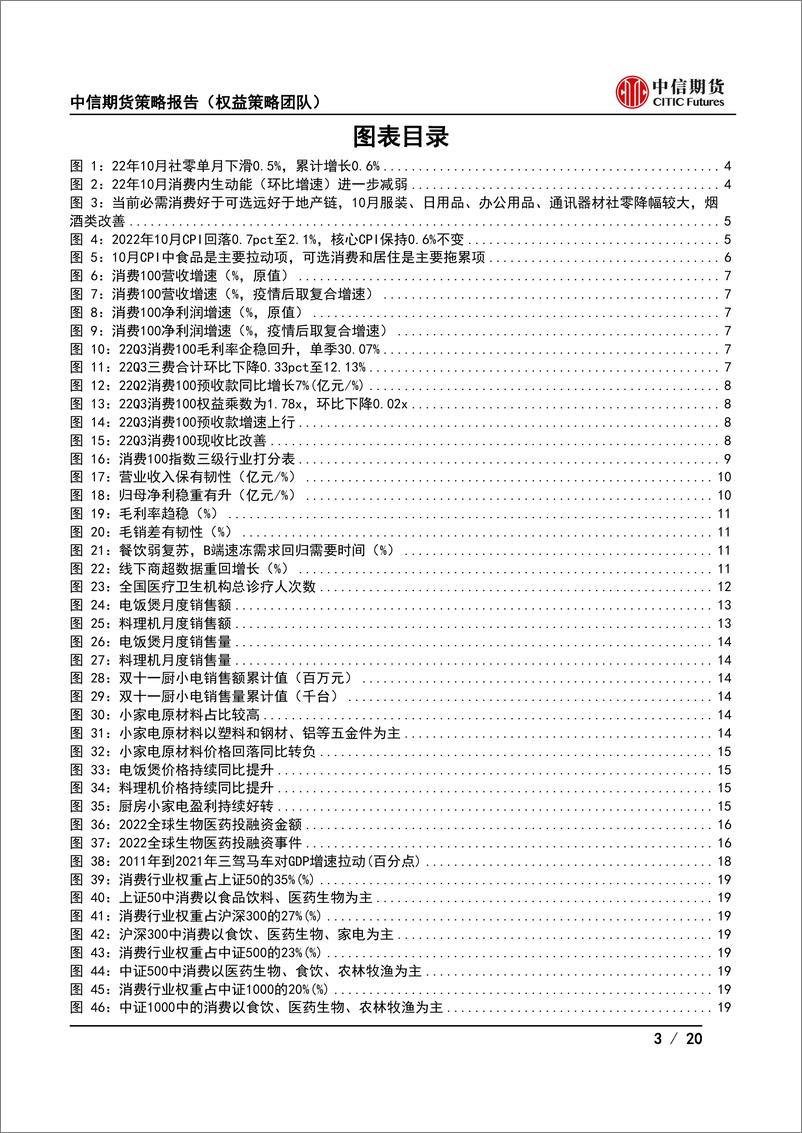 《2023年度消费策略报告：冬去，春来-20221118-中信期货-20页》 - 第4页预览图