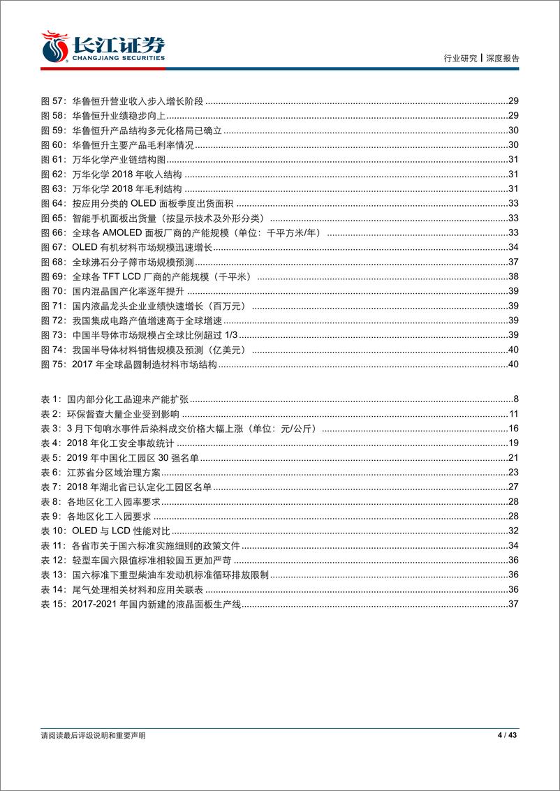 《基础化工行业2019年中期策略报告：侧重供给优化及产业升级-20190617-长江证券-43页》 - 第5页预览图