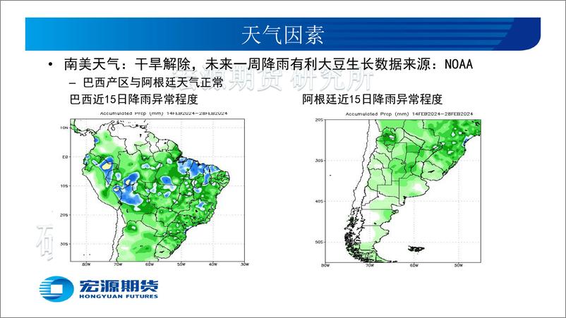 《豆类油脂三月份报告：豆类反弹先锋，油脂跟随企稳-20240304-宏源期货-25页》 - 第7页预览图