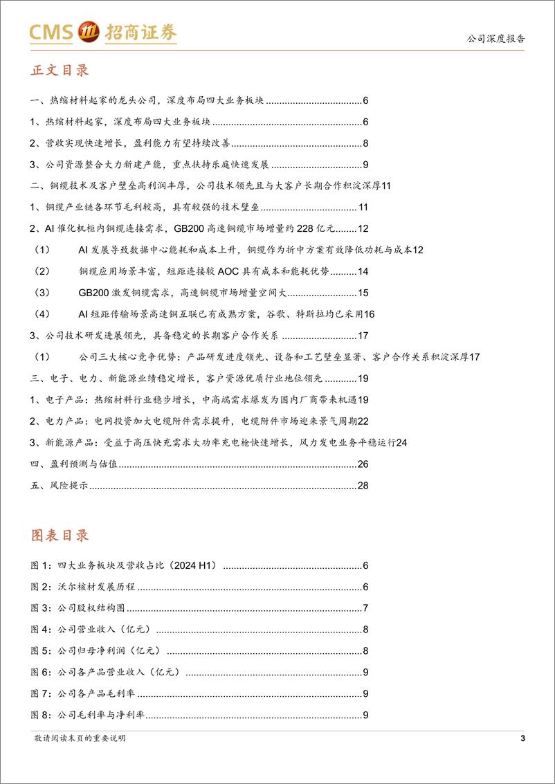 《沃尔核材(002130)基本盘业务稳固，高速通信线有望量价齐升-241222-招商证券-30页》 - 第3页预览图