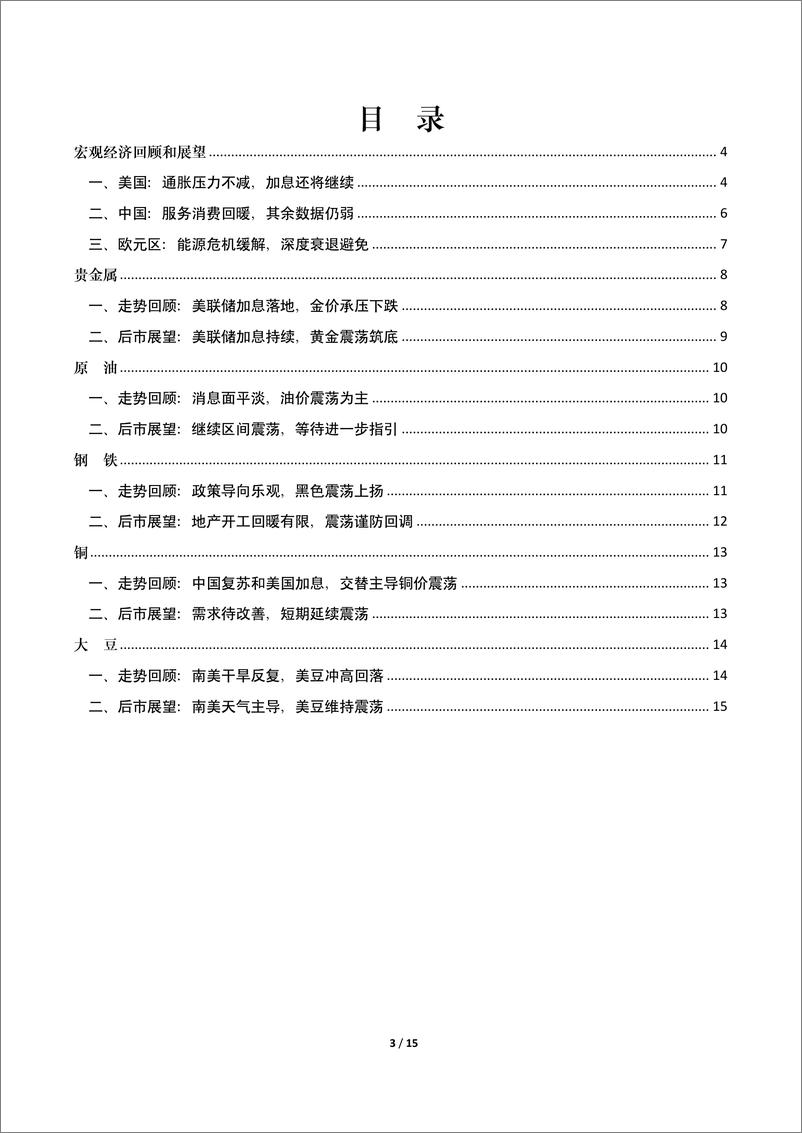 《贵金属和大宗商品市场报告-20230228-中国建设银行-15页》 - 第4页预览图