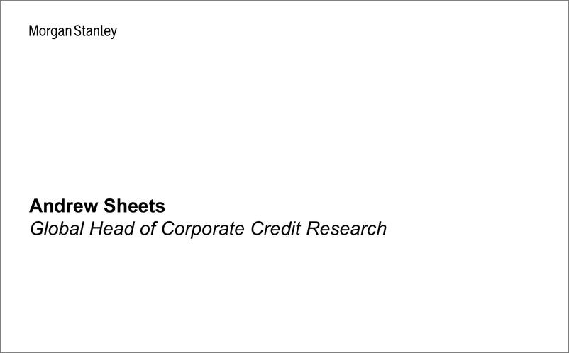 《Morgan Stanley Fixed-Global Credit Strategy Global Credit Research Webcast Slide...-107494060》 - 第3页预览图