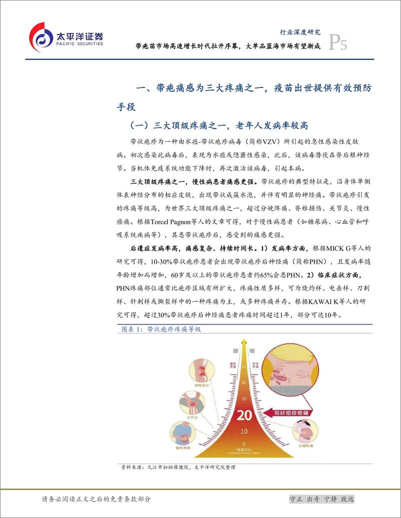 《太平洋：生物医药Ⅱ行业深度研究-带疱苗市场高速增长时代拉开序幕-大单品蓝海有望渐成》 - 第5页预览图