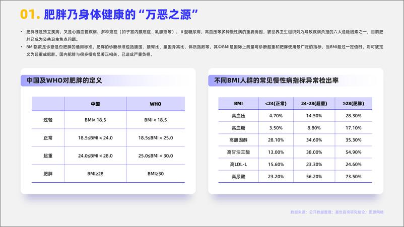 《减肥药品行业简析报告-MCR嘉世咨询》 - 第2页预览图