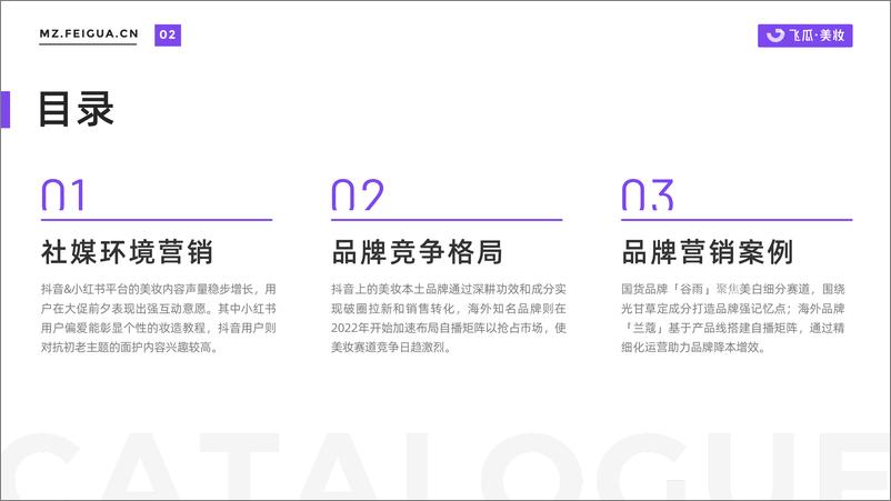 《2022年度美妆品牌社媒营销观察-飞瓜》 - 第3页预览图