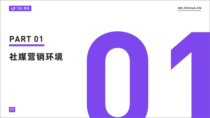 《2022年度美妆品牌社媒营销观察-飞瓜》 - 第4页预览图