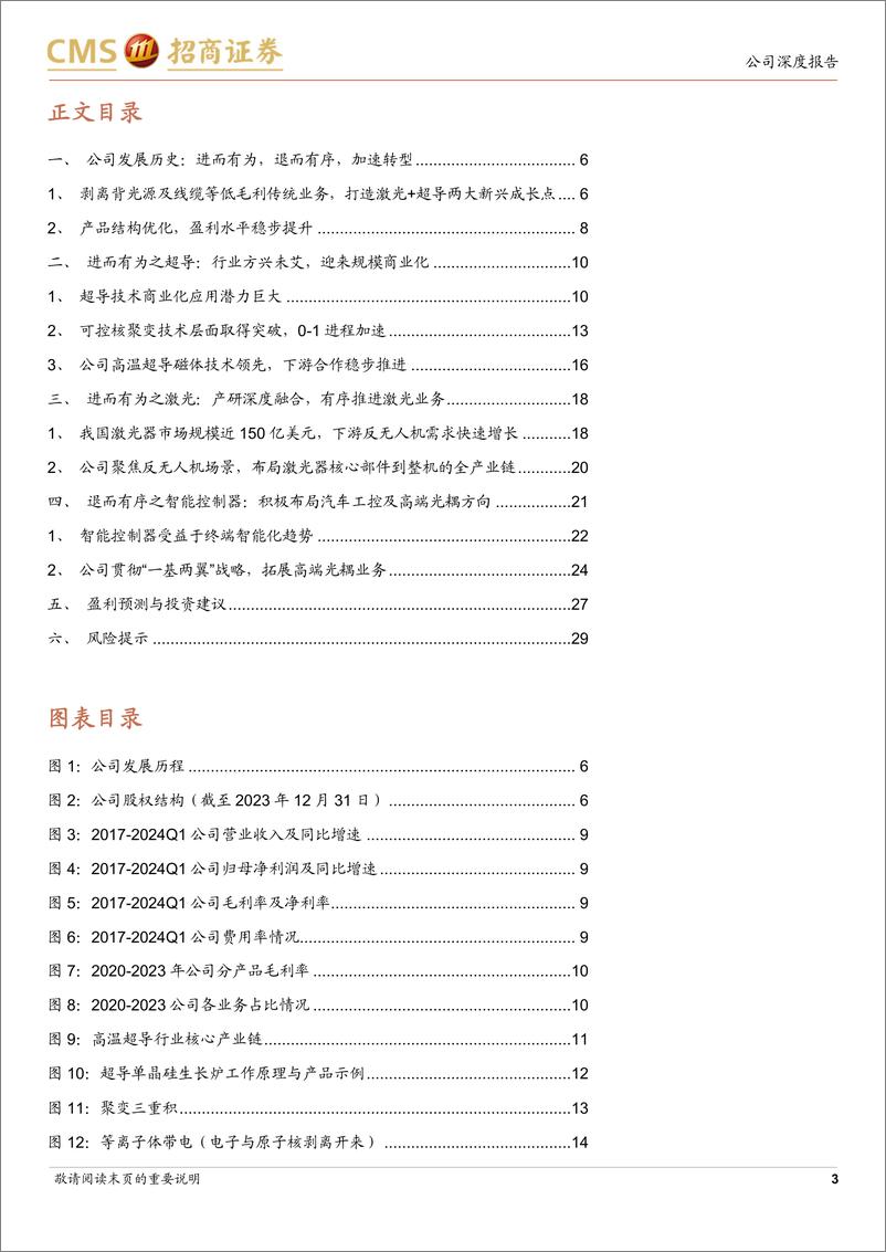 《联创光电(600363)退而有序，加速转型；进而有为，颠覆式创新-240606-招商证券-31页》 - 第3页预览图