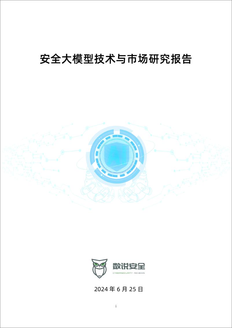 《数说安全：2024安全大模型技术与市场研究报告》 - 第1页预览图