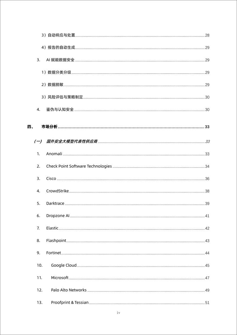 《数说安全：2024安全大模型技术与市场研究报告》 - 第5页预览图