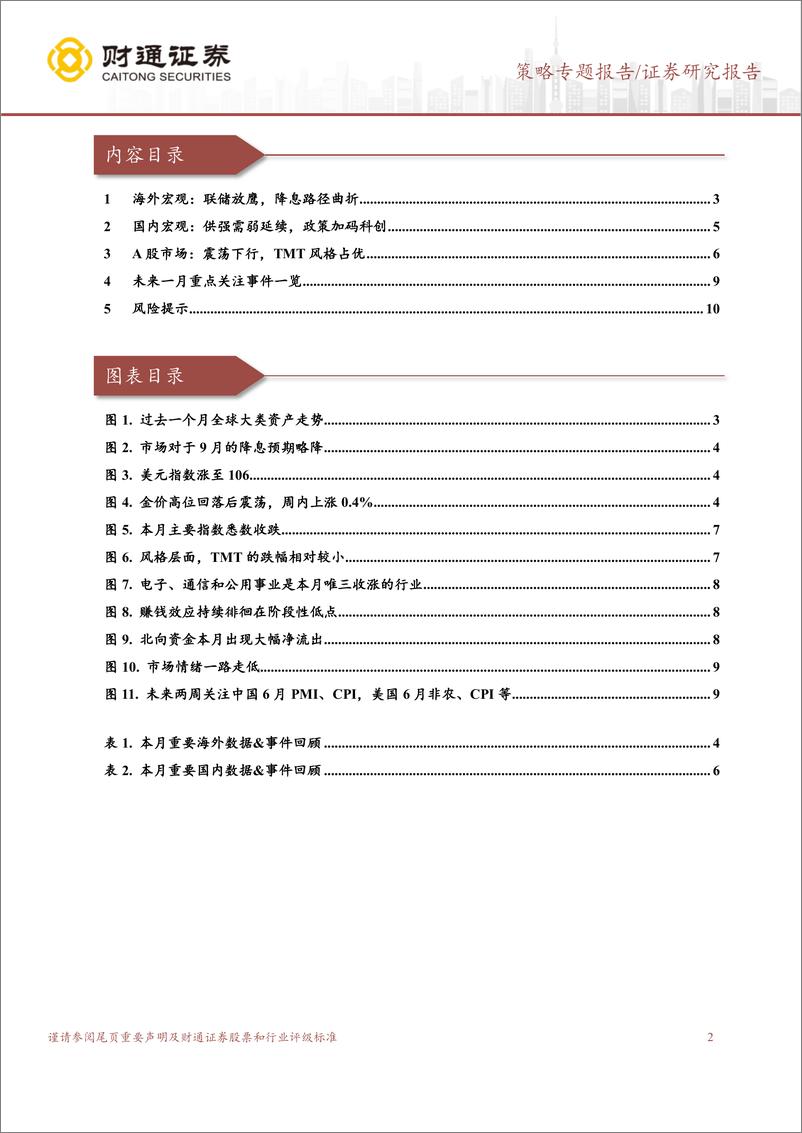 《6月市场回顾：全A震荡下行，成长风格占优-240629-财通证券-11页》 - 第2页预览图