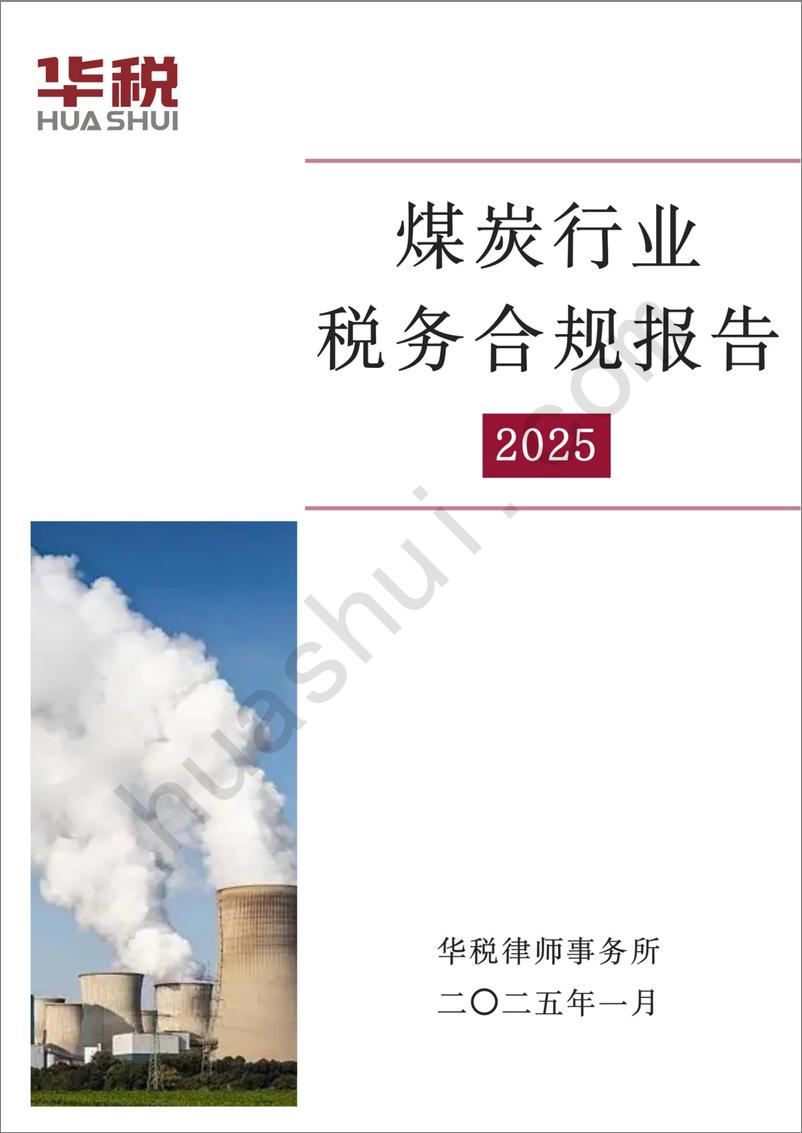 《煤炭行业税务合规报告（2025）-31页》 - 第1页预览图