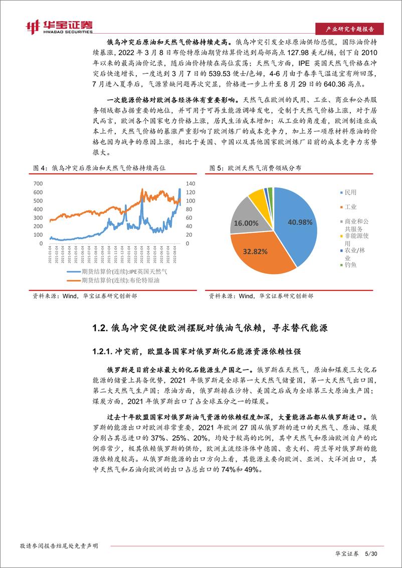 《新能源行业海外市场专题报告：俄乌冲突加剧欧洲能源转型，看好光储热高边际增量-20221014-华宝证券-30页》 - 第6页预览图