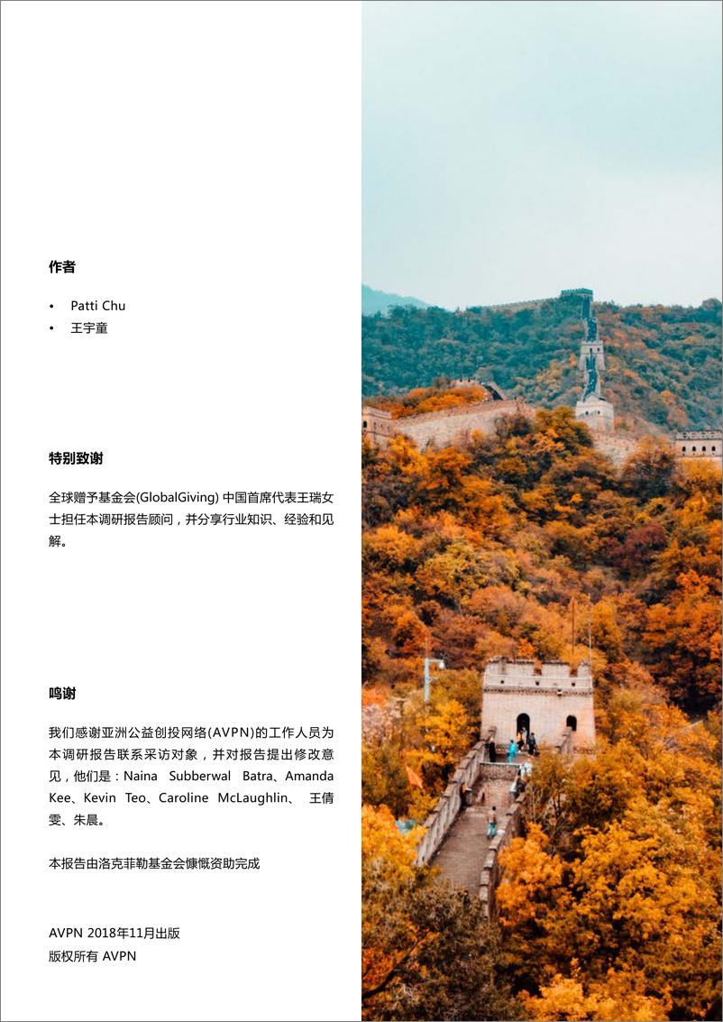 《avpn & RF-中国慈善行业调研报告：对行业资助机构的观察-2018.11-36页》 - 第3页预览图